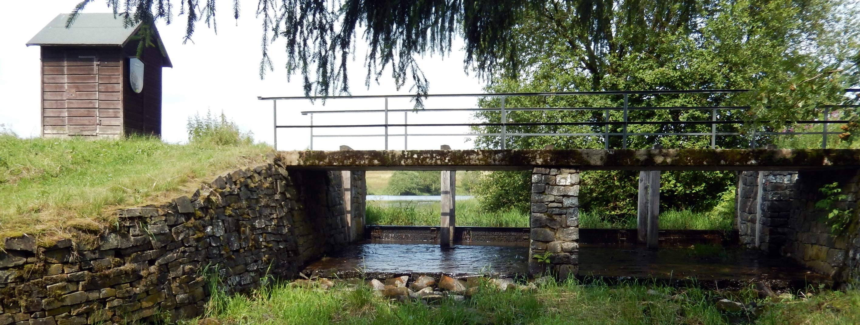 Foto Striegelhäuschen am Sumpfteich